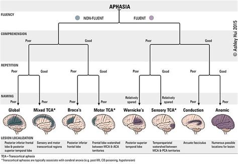 Types of aphasia | Speech therapy tools, Speech therapy materials, Speech language pathologists