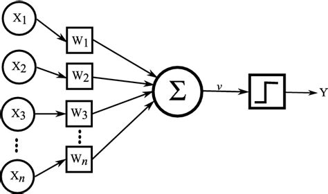 Single Perceptron by Frank Rosenblatt | Download Scientific Diagram