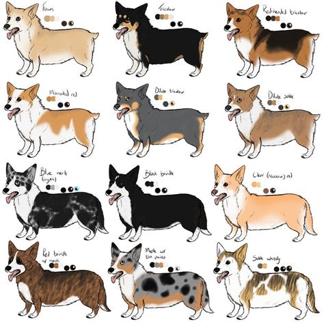 sable color dog corgi - Thoroughly Blogged Custom Image Library