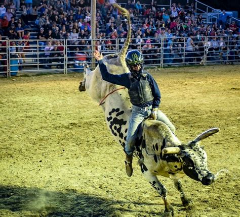 Bull Riding Info – Fox Hollow Rodeo