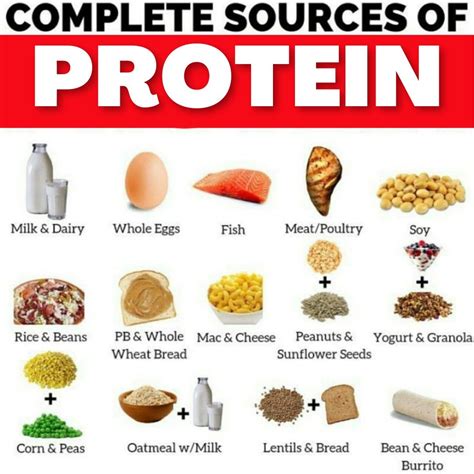 High Protein Foods List, Best Protein, Healthy Protein, High Protein ...