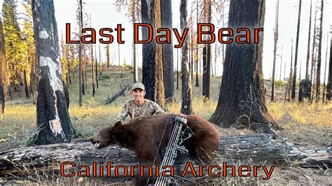 2022 California Archery Deer Hunting BIG BEAR DOWN ||CACCIA OUTDOORS ...