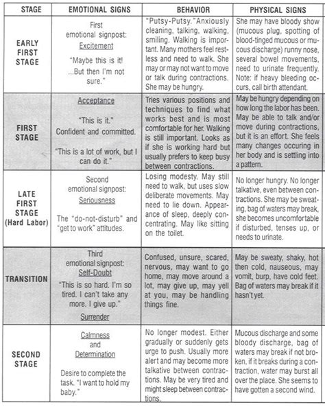 Stages Of Labor Diagram