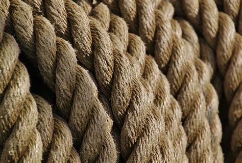 brown rope, rope, ropes, knot, woven, close, cordage, leash, CC0, public domain, royalty free ...