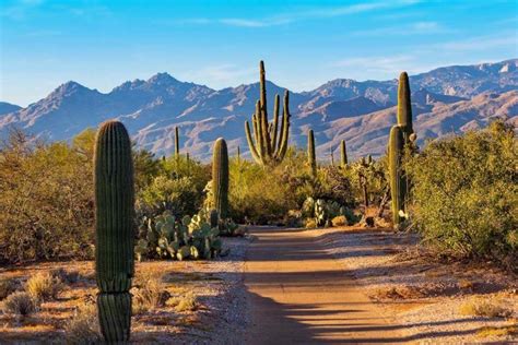 11 Amazing USA National Parks to Visit in February (+Seasonal Tips)