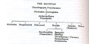 Chandragupta Maurya Family Tree