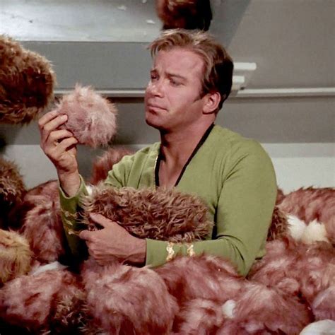 Geniuses Determine How Long It Would Take for Star Trek's Tribbles to ...