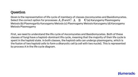 SOLVED: Given is the representation of life cycle of members of classes Ascomycetes and ...