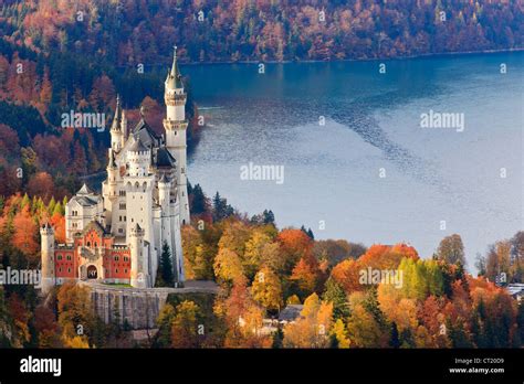 Neuschwanstein Castle in Autumn colours, Allgau, Bavaria, Germany Stock Photo: 49216757 - Alamy