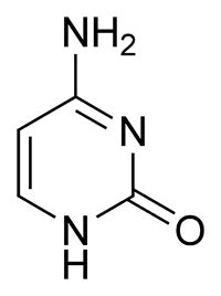 ROSALIND | Glossary | Cytosine