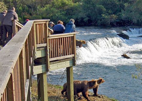 Brooks Falls; Katmai National Park; Alaska Bear Viewing Tour 2D