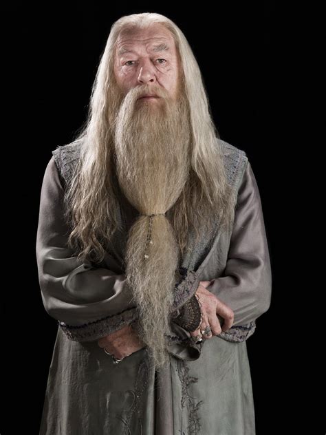 Portrait of Albus Dumbledore — Harry Potter Fan Zone