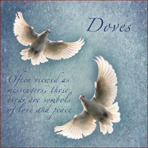 White doves | Christian symbols, Spirit animal meaning, Peace and love