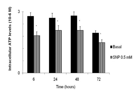 Effect of nitric oxide on mitochondrial activity of human synovial cells | BMC Musculoskeletal ...