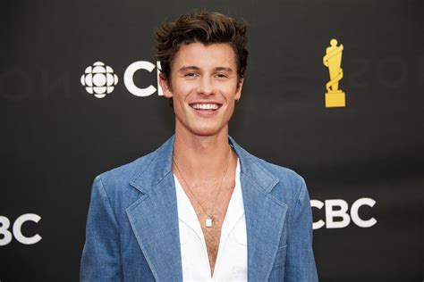 Shawn Mendes Goes ‘Back in Time’ With Recreation of His ‘Illuminate ...