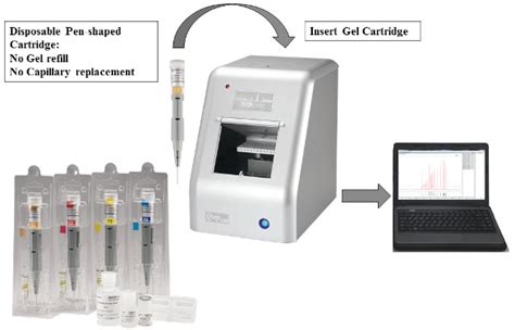 NGS Library Validation Using Automated Capillary Gel Electrophoresis ...