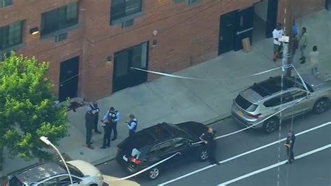 NYC Crime: Man dies after being shot in the head in the Bronx - ABC7 New York