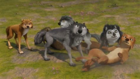 Image - Wolf fight....jpg | Alpha and Omega Wiki | FANDOM powered by Wikia