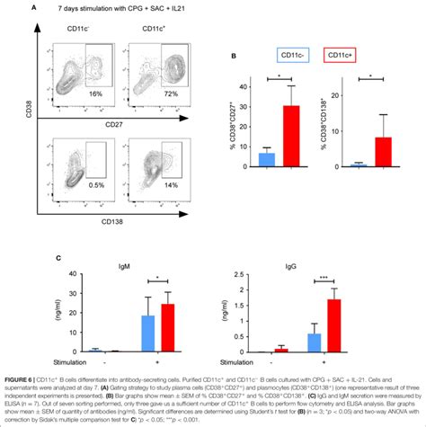 | cytokine genes. (C) CD11c + B cells upregulated CD27, CD11b, and ...