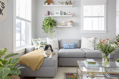 31 Good Apartment Dogs - Best Dog Breeds for Small Homes | Apartment ...