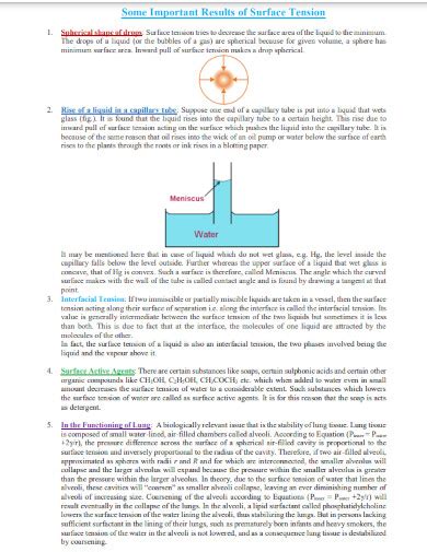 Surface Tension - 5+ Examples, Format, How To Calculate, PDF