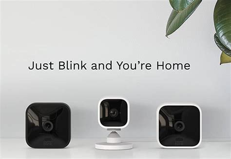 Blink Indoor vs. Blink XT2: Which should you buy? - Bestgamingpro