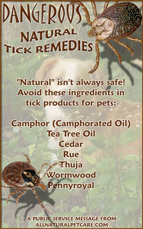 Dangerous Natural Tick Remedies (Infographic) | All Natural Pet Care Blog