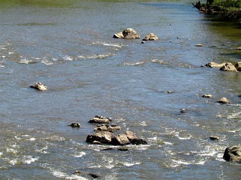 Haw River Trail vNC 6457 | Haw River Trail Saxapahaw NC | Flickr