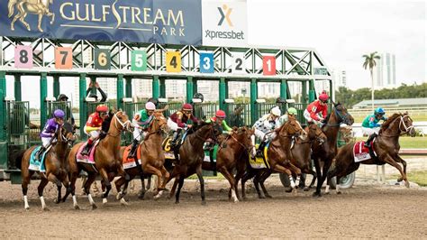 Gulfstream Park Race Track Guide & Gulfstream Park Picks | Pickswise