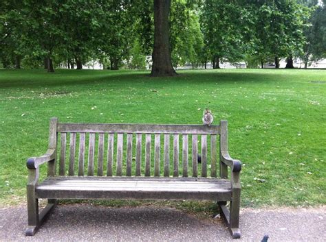 St. James's Park | St james park london, London park, St james' park