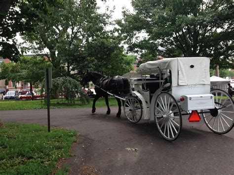 Horse and Buggy ride at Lafayette Park | Doug Reports