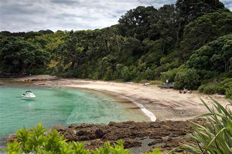 The Best Wildlife Reserves in New Zealand