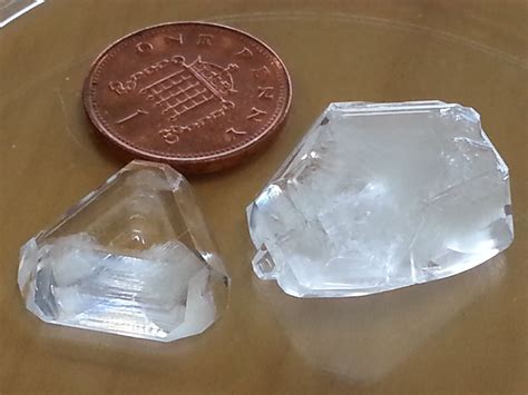 Two gorgeous alum crystals after just 2 days alongside a 1p for scale ...