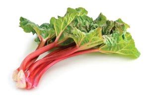 Rhubarb Benefits - Good Whole Food