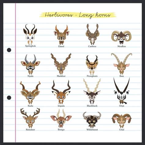 Free Vector | Herbivores long horns in 2024 | Herbivores, Horns, Vector ...