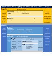 Primate Taxonomy Table F22.pdf - Suborder Infraorder Parvorder ...