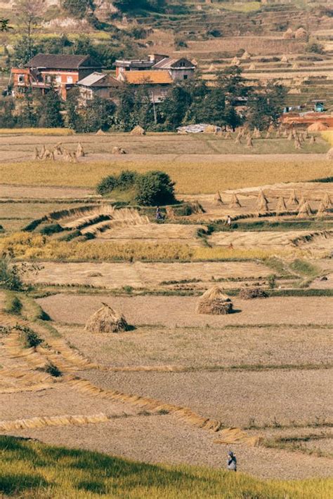 Aerial View of a Rolling Landscape · Free Stock Photo