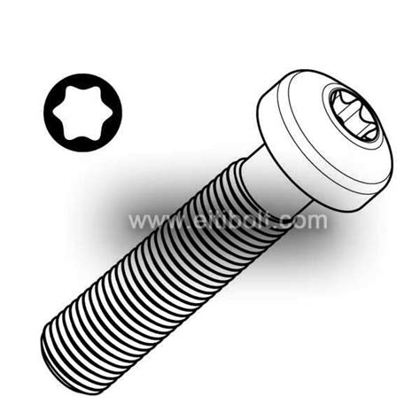 Pan Head Titanium Screws