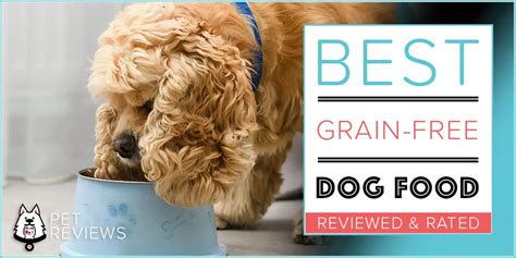 10 Best Grain Free Dog Foods with our Most Affordable Pick