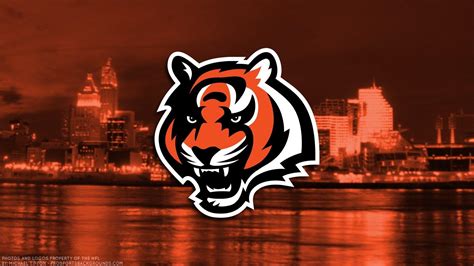 Cincinnati Bengals Wallpapers - Top Free Cincinnati Bengals Backgrounds - WallpaperAccess