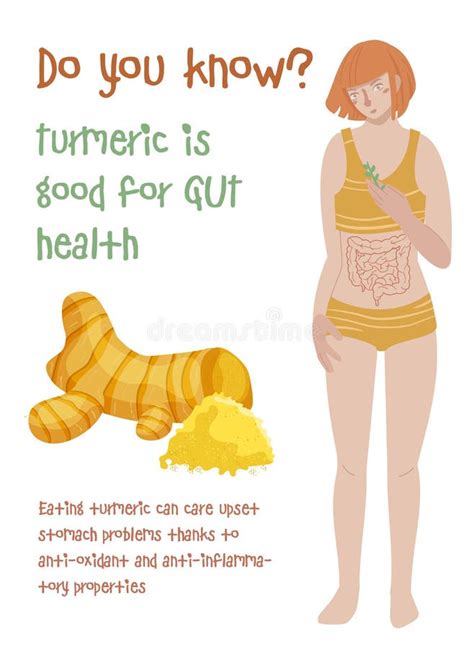 Turmeric Benefits. Top Foods For Gut Health. Stock Illustration - Illustration of intestine ...