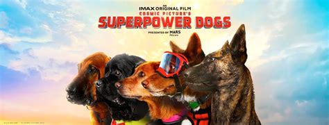 Superpower Dogs, IMAX Original Movie | Pet Companion Magazine