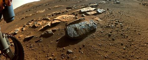 Scientists Warn About 'False Fossils' Present on Mars : ScienceAlert