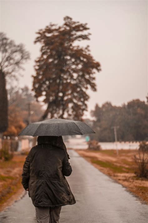 Person Holding Umbrella · Free Stock Photo