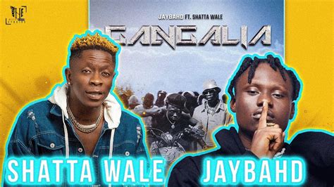 Jay Bahd feat Shatta Wale - Gangalia |Acient Reaction | Christmas Banger | - YouTube