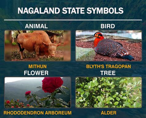 State Emblem and Symbol of Nagaland