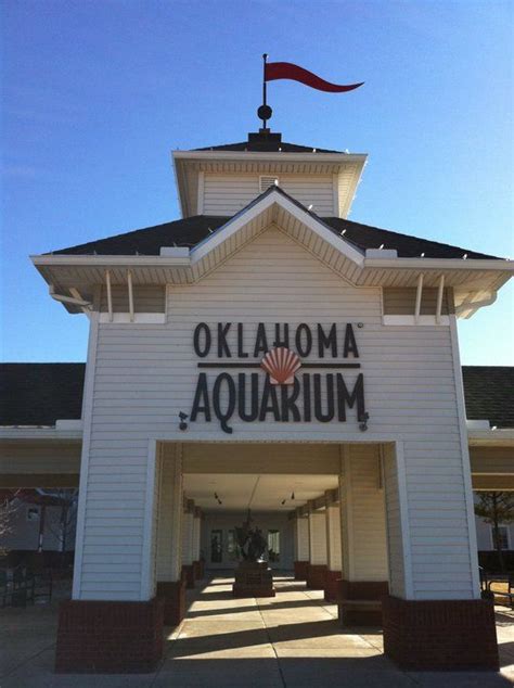 Oklahoma Aquarium in Jenks | Oklahoma aquarium, Oklahoma fun, Travel ...