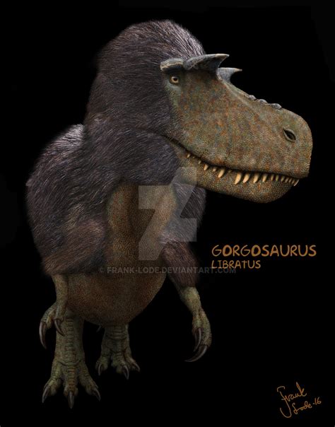 Gorgosaurus libratus by Frank-Lode on DeviantArt