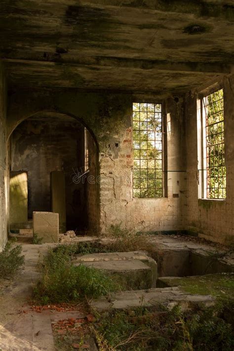 Nature Hall stock photo. Image of history, abandonment - 36484432