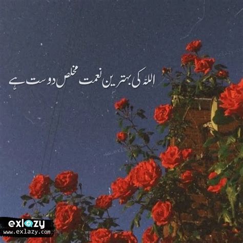 The Best 20 Friendship Quotes in Urdu - ExLazy